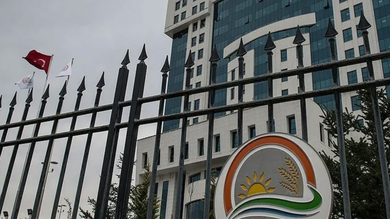 SON DAKİKA: Tarım ve Orman Bakanlığı 1.874 personel alımı yapacak! Bakan Yumaklı kadro dağılımını açıkladı